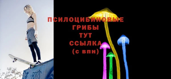 apvp Бородино