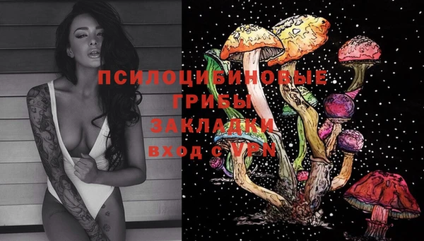 apvp Бородино