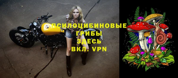 apvp Бородино