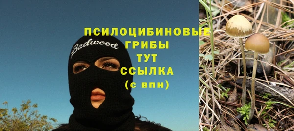 дмт Бронницы